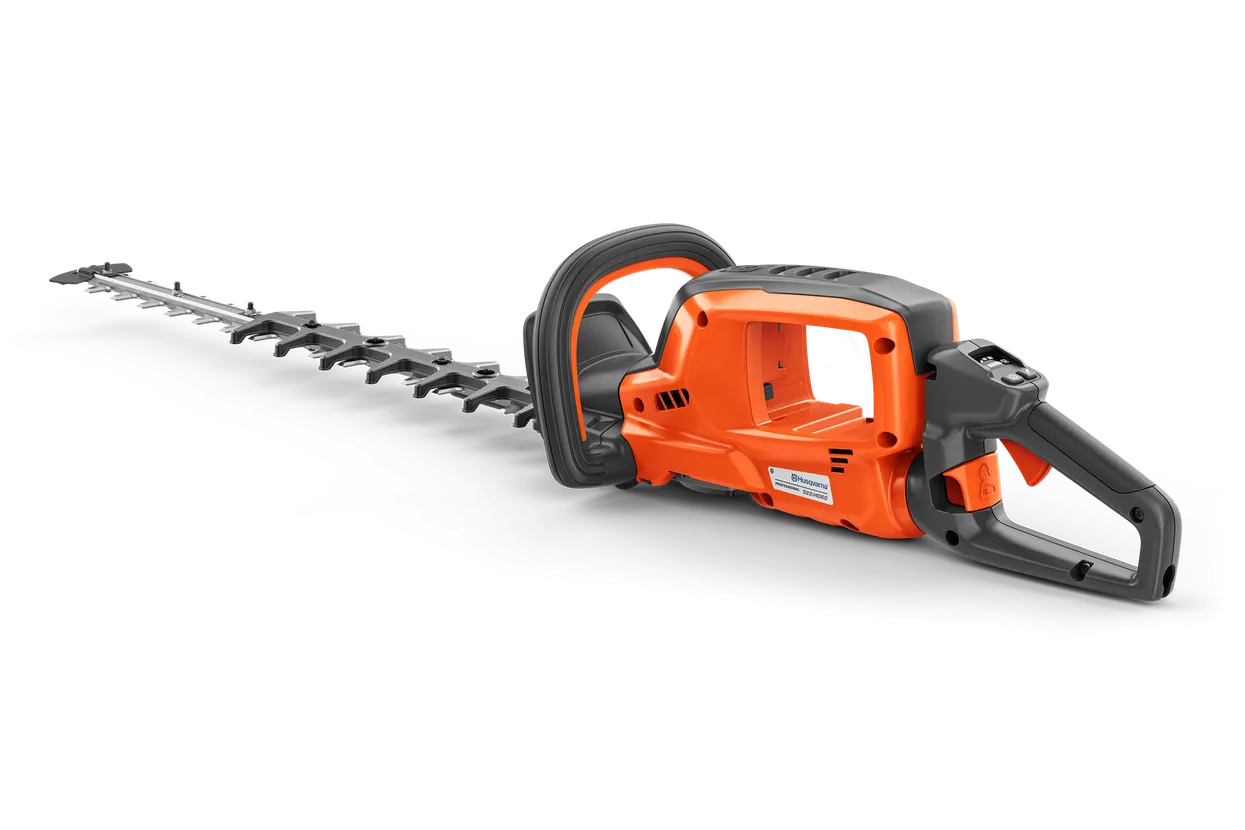 cz-572176.webp