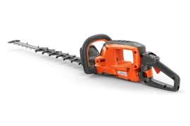cz-572176.webp