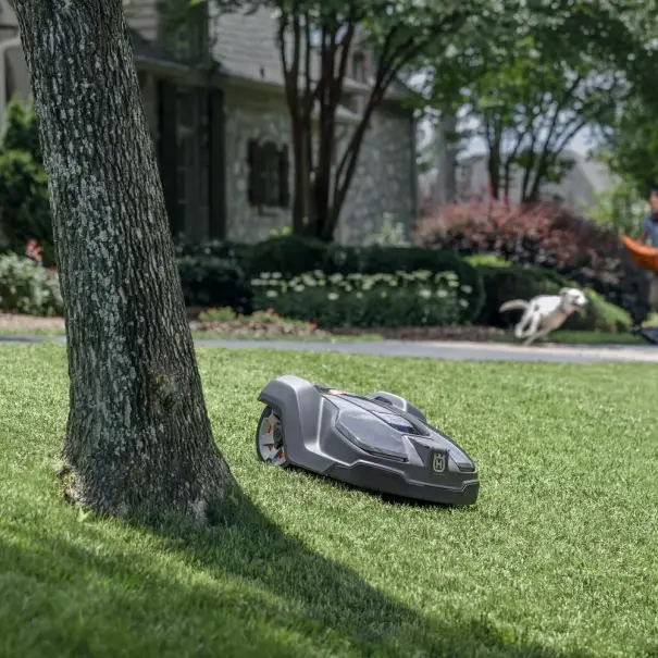 automatischer-garten.jpg
